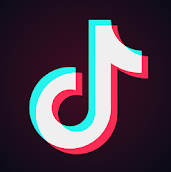 TikTok Followers Logo